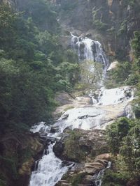 Scenic view of waterfall in forest