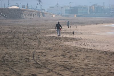 Rear view of man walking on beach