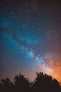 Low angle view of trees against sky at night