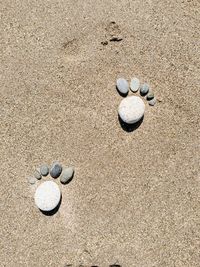 High angle view of stones shaped like pawprints  on beach