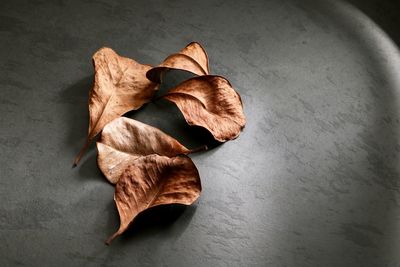 High angle view of dry leaf on table