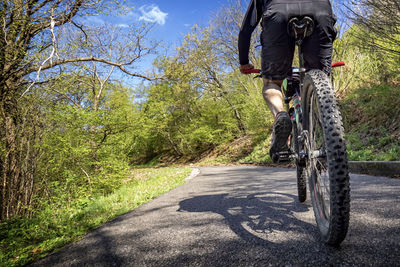 Cycling in a sunny morning