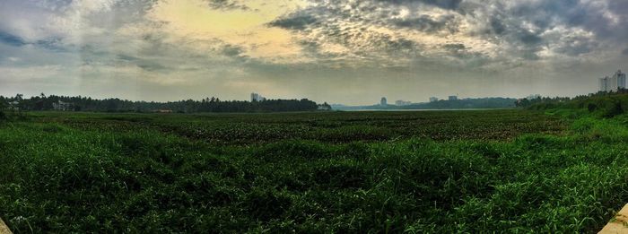 Scenic view of field against sky