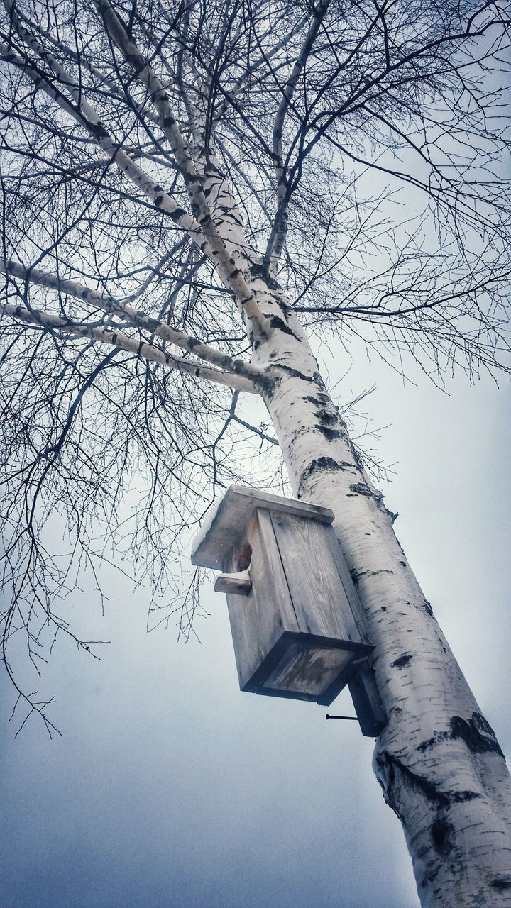 LOW ANGLE VIEW OF BARE TREE AGAINST BUILT STRUCTURE