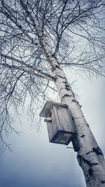 Low angle view of bare tree against sky