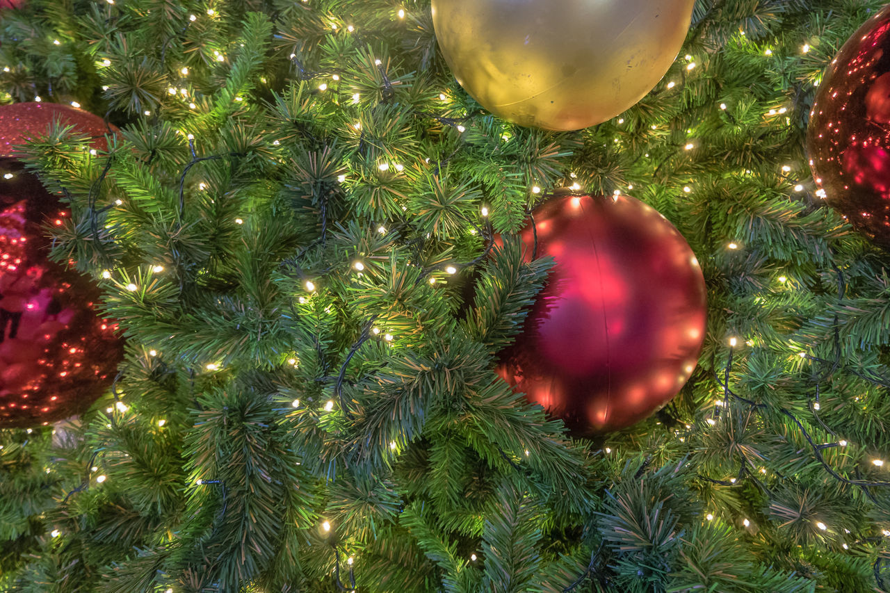 CLOSE-UP OF CHRISTMAS TREE HANGING ON ILLUMINATED STREET LIGHT