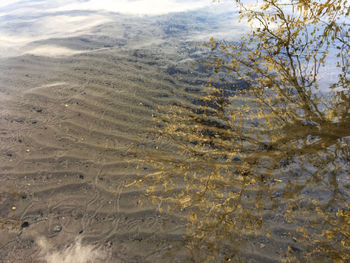 High angle view of a sea