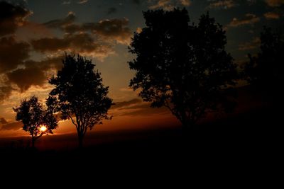 Low angle view of silhouette trees on field at sunset