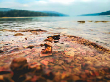 Surface level of pebble on beach
