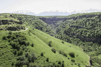 landscape