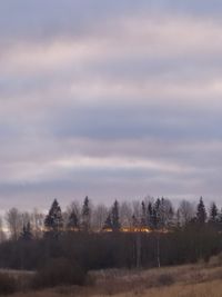 Trees on field against sky