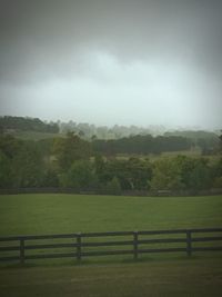 Scenic view of grassy field against sky