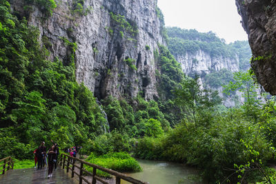 People walking on mountain by plants