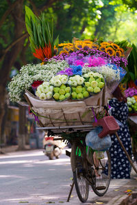 Mobile flower store on bycicle is an iconic image of ha noi in autumn annually
