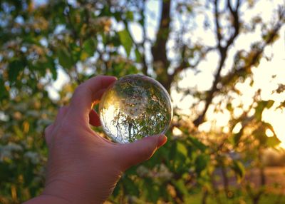 Close-up of hand holding lensball