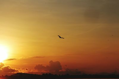 Silhouette birds flying against sky during sunset