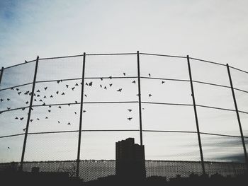 Low angle view of chainlink fence