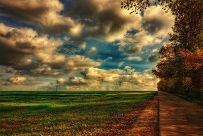 Scenic view of agricultural field against sky