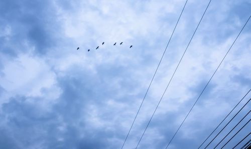 Low angle view of birds flying against sky