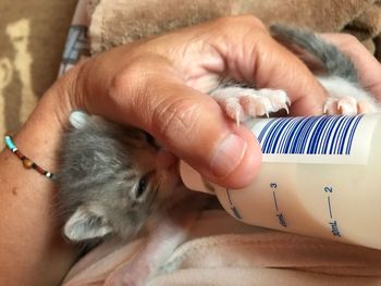 Close-up of baby with hand