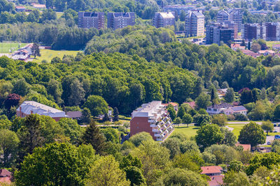 Residential houses in a city with a green area