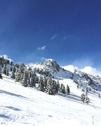 Snow covered landscape