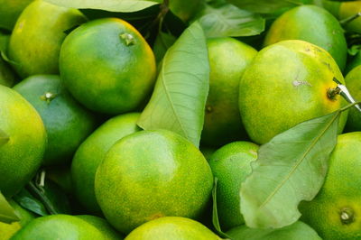 Full frame shot of apples