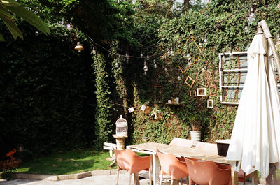 Empty table in a sunny back yard