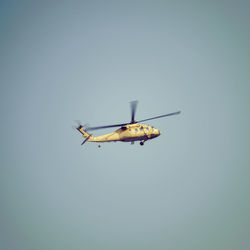 Low angle view of insect flying against clear sky