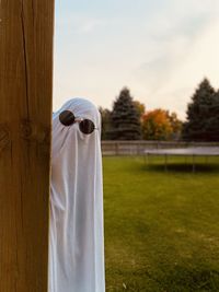 Close-up of ghost standing on field against sky