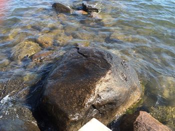 High angle view of rocks in water