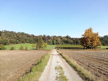 Dirt road amidst field against clear sky