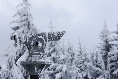 Close-up of snowflakes on snow covered tree