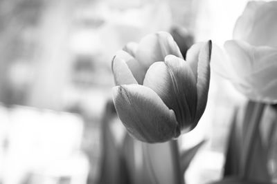 black and white