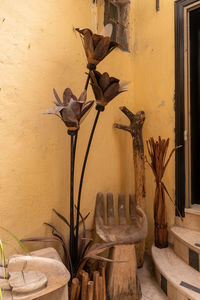 Close-up of potted plant against wall
