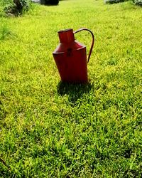 Red umbrella on field