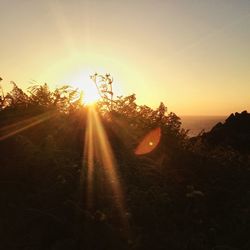 Sun shining over sea