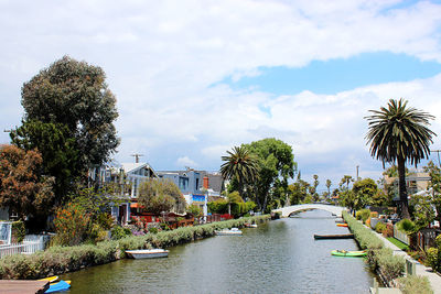 Canal amidst palm trees and buildings against sky