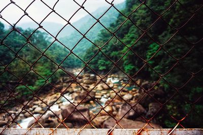 River amidst trees seen through chainlink fence in forest