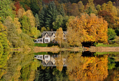 Scenic view of lake by trees during autumn