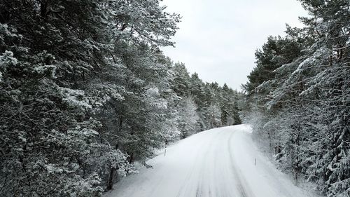 Road amidst trees against sky during winter