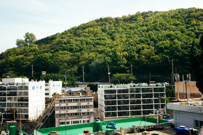 Trees against built structure