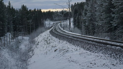 Railroad tracks amidst trees during winter