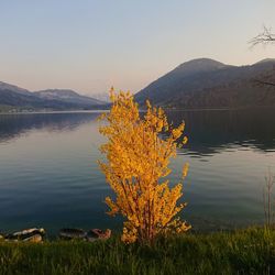 Scenic view of lake against sky
