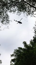 Low angle view of airplane flying in sky