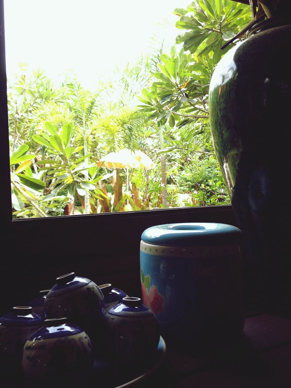 indoors, tree, close-up, glass - material, window, transparent, potted plant, plant, growth, green color, table, no people, sunlight, day, food and drink, drink, nature, window sill, home interior, coffee cup