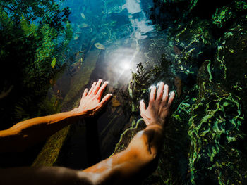 Cropped hands of woman touching water in lake