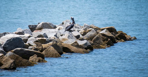 Rocks on sea shore