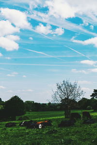 Scenic view of field against sky