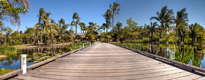 Narrow walkway along plants and trees against sky